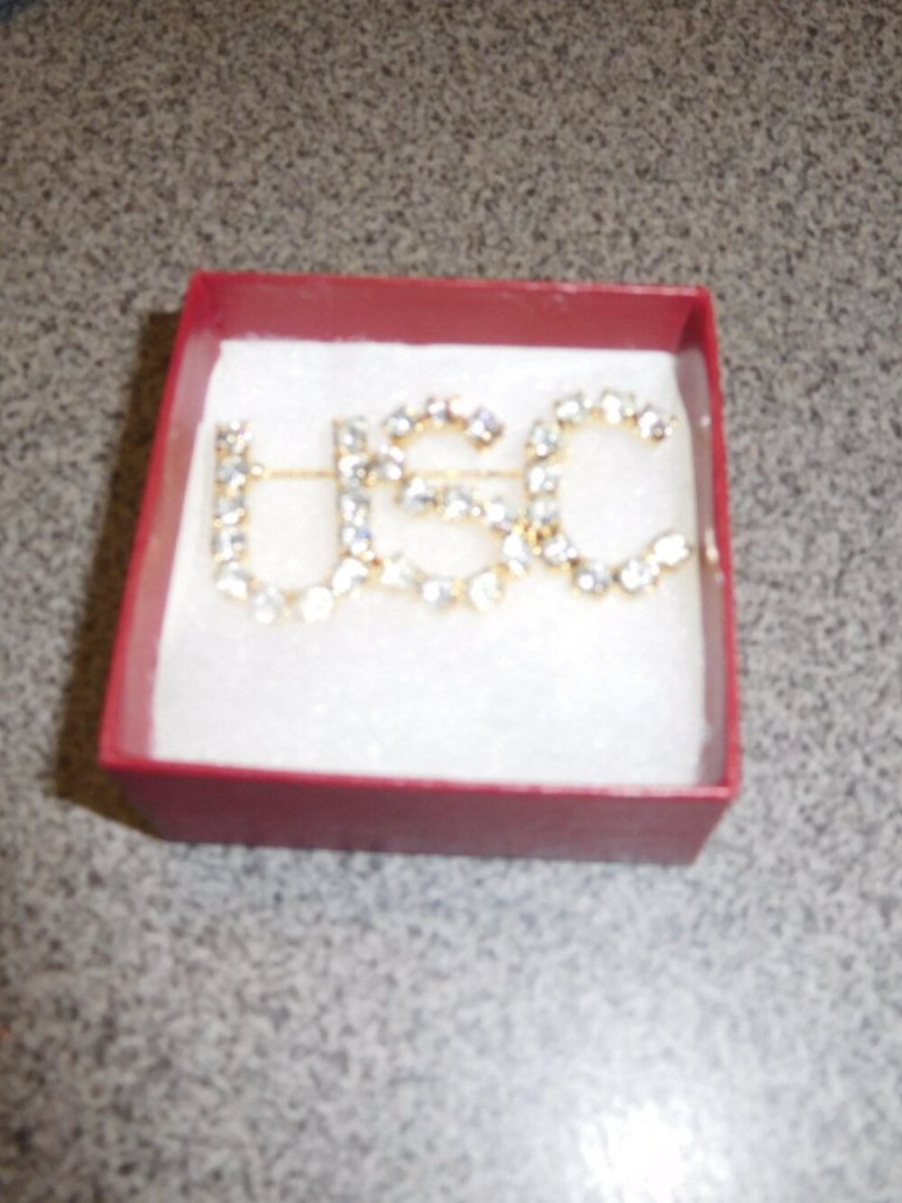 NEW USC UNIVERSITY OF SOUTH CAROLINA CZ PIN